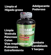 OREGANO + PACHUCA x1